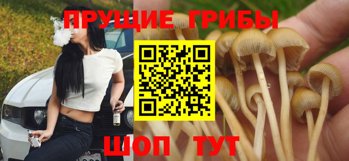 Псилоцибиновые грибы мицелий  Вход с VPN  Баксан 